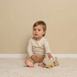 Little Dutch Pull Along Bunnies -Little Dutch LD8861PullAlongBunnies TrekdierKonijnenBabybunny 4